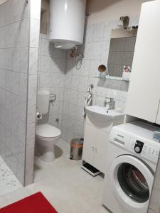 Kis Ház Apartman في زالاكساني: حمام مع غسالة ومرحاض