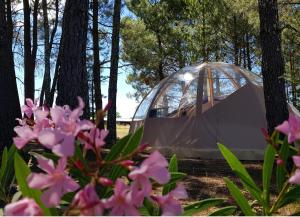 Κήπος έξω από το Camping Hello Soleil