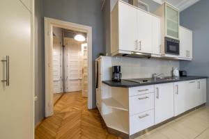 Kuchyň nebo kuchyňský kout v ubytování Elisabeth Apartment on Váci Street