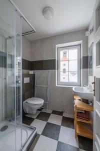 a bathroom with a toilet and a shower and a sink at Marcebila Abertamy in Abertamy