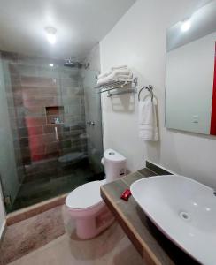 een badkamer met een toilet, een wastafel en een douche bij Hotel Sierra Linda in Xilitla