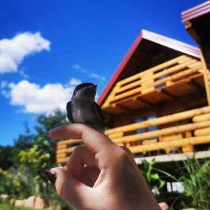 a hand holding a small object in front of a building at Wooden House "Una" in Kulen Vakuf