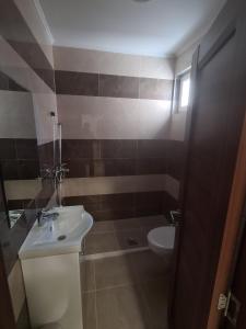 a bathroom with a sink and a toilet at Apartmani Marija in Vrdnik