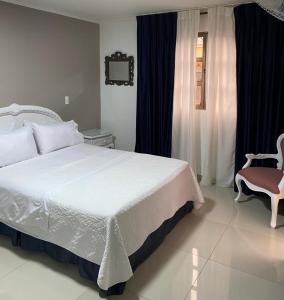 Postel nebo postele na pokoji v ubytování Hotel Suite Santa Rosa