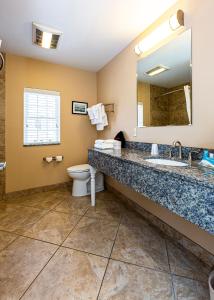 uma casa de banho com um lavatório e um WC em Bar Harbor Manor em Bar Harbor