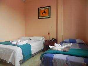 Postel nebo postele na pokoji v ubytování Hostal La Posada De Jose Carlos