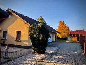 a large bush in front of a house at Crystal Apartman in Mórahalom +44 photos