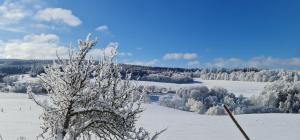Fotografie z fotogalerie ubytování hotel ZLATÝ POTOK v destinaci Nicov