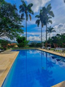 a swimming pool with palm trees in the background at Family Cabin With River View in Rizaralda