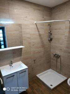 a bathroom with a sink and a toilet and a shower at Apartment ZAGLAV 1 in Zaglav