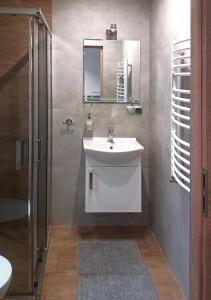 uma casa de banho com um lavatório, um espelho e um chuveiro em Apartamenty-Obok 2 em Zator