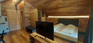 1 dormitorio con 1 cama y TV de pantalla plana en Editlodge "Dessura", en Badia