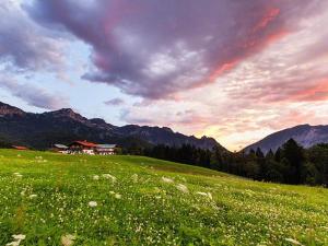 un campo de césped verde con una casa en el fondo en Gästehaus Marchler, en Bischofswiesen