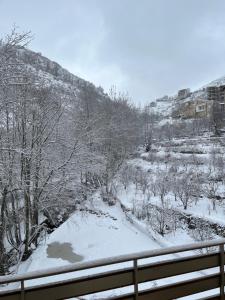 Tamerland-faraya v zimě