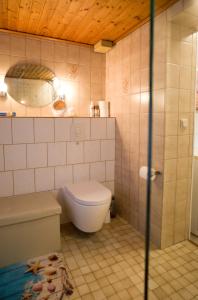 a bathroom with a toilet and a mirror at Ferienwohnung zur Mühle in Sotzweiler