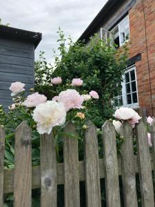 una recinzione con fiori rosa e bianchi di The Cottage a Sulgrave