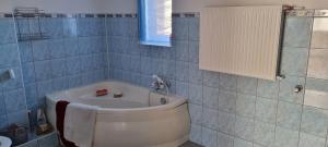 Ένα μπάνιο στο Dom & SPA nad Rzeką +26 φωτογραφίες