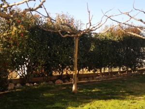Vonkajšia záhrada v ubytovaní Casa rural, masia antigua restaurada
