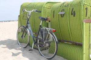 a bike parked next to a green object on the beach at Salzhaff StrandHaeuser mit Kamin u in Pepelow