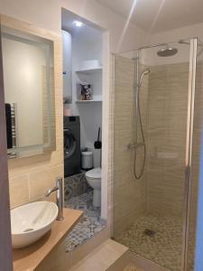 bagno con doccia, lavandino e servizi igienici di La tour 2: Appart neuf au cœur de la petite venise a LʼIsle-sur-la-Sorgue