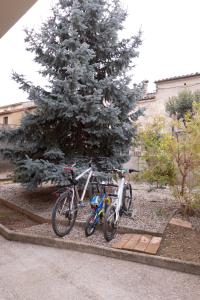 Dos motos están estacionadas junto a un árbol de Navidad. en Can Patllari, en Banyoles