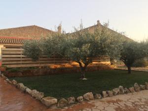 a garden with two trees in front of a house at Casa rural, masia antigua restaurada in Begur