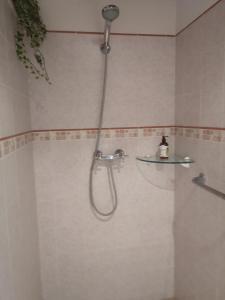La salle de bains est pourvue d'une douche avec un tuyau. dans l'établissement Casa rural, masia antigua restaurada, à Begur