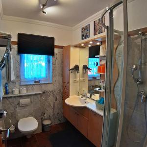 シェッファウ・アム・ヴィルデン・カイザーにあるFerienwohnung Laraのバスルーム(トイレ、洗面台、シャワー付)