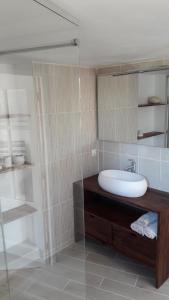 蒙托魯的住宿－拉羅斯戴斯唯特斯住宿加早餐旅館，一间带水槽和玻璃淋浴的浴室