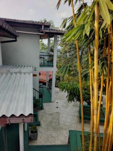 une cour avec des palmiers dans l'établissement Jily Stay, à Kandy