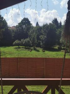 Ogród w obiekcie Nad Potokiem z Alpakami