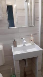a bathroom with a white sink and a mirror at Garden Szivárvány utcai Vendégház in Szeged +37 photos
