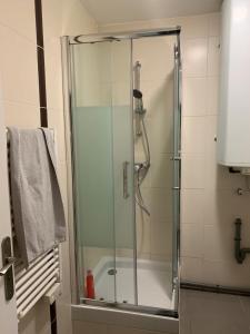 a shower with a glass door in a bathroom at Super appartement 45 m2 proche Paris in Montreuil