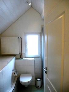 ラドルフツェル・アム・ボーデンゼーにあるFerienwohnung Casa Bluの小さなバスルーム(トイレ、窓付)が備わります。