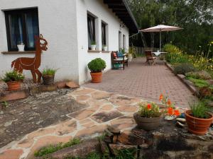 Zahrada ubytování Haus Alpaka