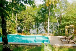 a swimming pool in the middle of a garden at Villa Birdlake in Hikkaduwa