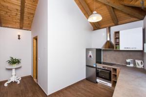 Kuchyňa alebo kuchynka v ubytovaní Apartments Villa Mirjana