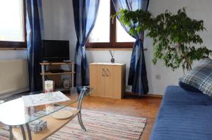 sala de estar con sofá azul y mesa de cristal en Haus Alpaka, en Bad König