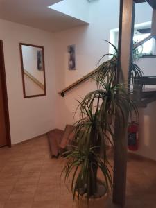 Fotografija u galeriji objekta Sedlonov 178 u gradu Sedloňov