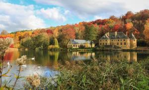 a house and a lake with swans in the water at Gîte des trois vallees in Nouzonville
