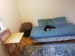Single bedroom in a cozy maisonette - Bushey