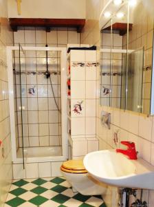 a bathroom with a toilet and a sink at Haus Alpaka in Bad König