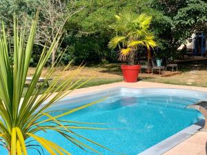 una pequeña piscina en un patio con una planta en Avenue de la Gare, en Riscle