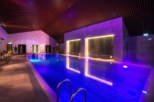 Бассейн в Radisson Blu Hotel, Mount Erciyes или поблизости