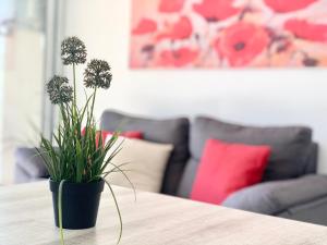 A seating area at Apartamentos Zaragoza