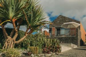a palm tree next to a house with an umbrella at Moinho das Feteiras in Feteiras