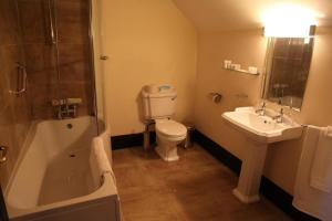 Knockninny Country House في Derrylin: حمام مع حوض ومرحاض ومغسلة