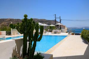 ein Resort mit einem Kaktus und einem Pool in der Unterkunft Adonis Hotel in Agia Galini