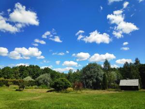 un parc avec un banc et un ciel bleu aux nuages dans l'établissement Lūķi, Lauku sēta, à Jūrkalne