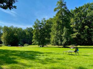 ein Park mit einer Bank im Gras in der Unterkunft Ferienbungalow auf FKK Waldcampingplatz am See 